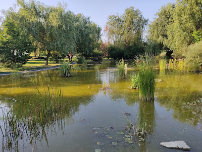 Parcul Dendrologic — fotografia 5