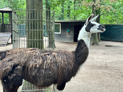 Kobelt Zoo, Gesellschaft Prof. Dr. W. Kobelt e. V. — fotografia 5