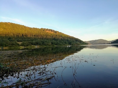 Dzika Plaża Nad Bukówką (Paprotki)