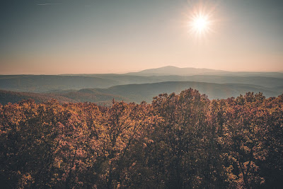 Prónay Observation Tower — fotografia 5