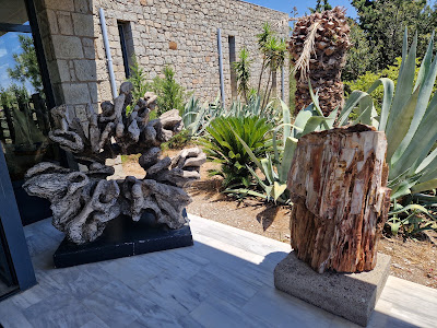 Natural History Museum of the Lesvos Petrified Forest — fotografia 5