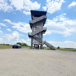 Parcul Național Neusiedler See – Seewinkel — fotografia 4
