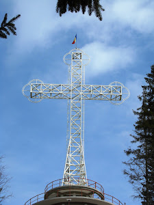 Mănăstirea Nașterea Maicii Domnului Jud. Bistrita Nasaud — fotografia 4