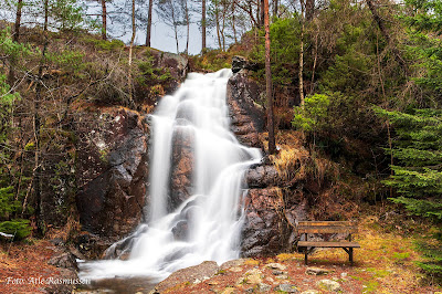 Foss