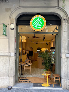 PLANT SHACK Barcelona — fotografia 5