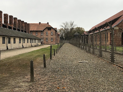Lagărul de concentrare Auschwitz — fotografia 5