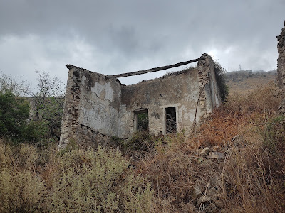 Old Sinies — fotografia 5