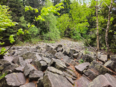 Łysica — fotografia 4