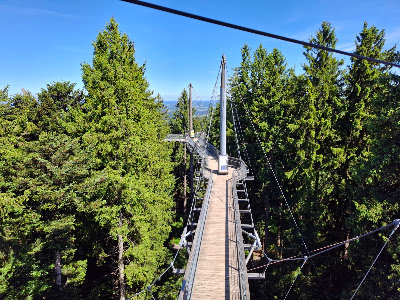 Waldwelt Skywalk Allgäu — fotografia 3