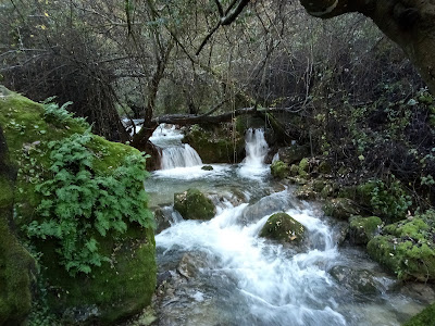 Sendero Río Majaceite