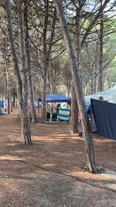 Camping Cavallo Bianco — fotografia 5