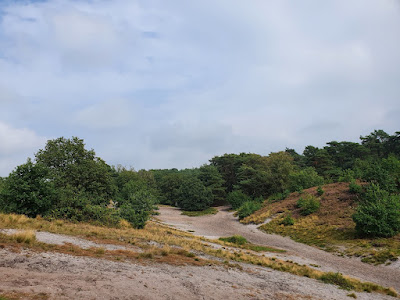 Brunssummerheide — fotografia 3