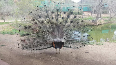 Cañada de los Pájaros — fotografia 2