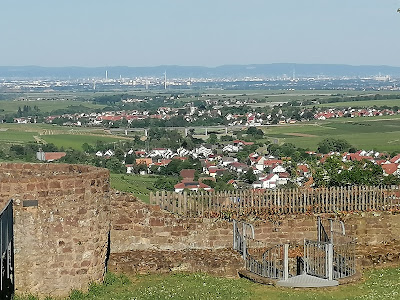 Neuleiningen Castle — fotografia 4