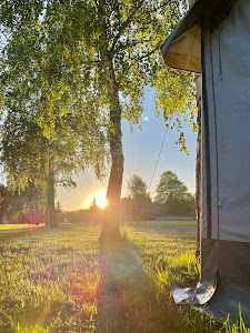 Pod Brzozą - pole kempingowe — fotografia 3