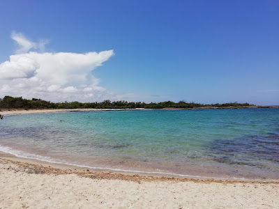 Spiaggia di Torre Guaceto — fotografia 3
