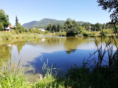 Balta Bixad - Fishing & Relax Camp — fotografia 4