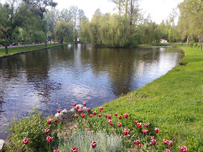 Parcul Ștrand — fotografia 5