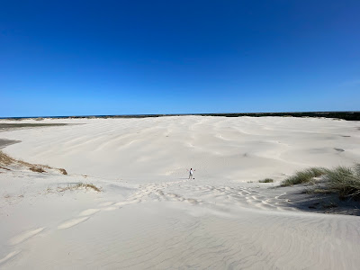Råbjerg Mile