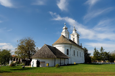 Mănăstirea Partoş