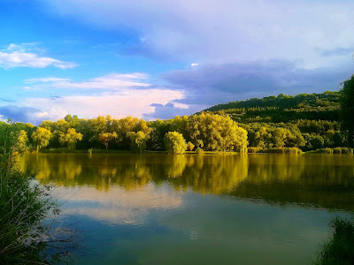 Dark Valley Forest Park — fotografia 5