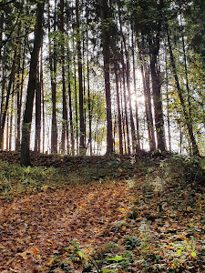 Naturerlebnispfad Hansenhohl — fotografia 5
