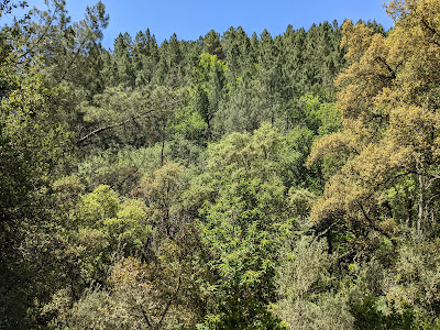 Sendero Galaroza - Castaño del Robledo (Ribera de Jabugo) — fotografia 3