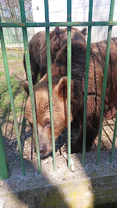 Grădina zoologică Piteşti — fotografia 2