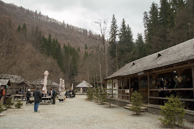 Staţia Paltin CFF Mocăniță — fotografia 5