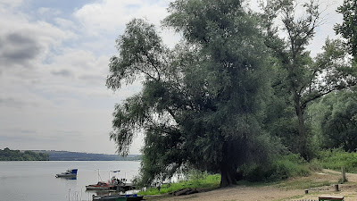 Izletište Perilo — fotografia 5