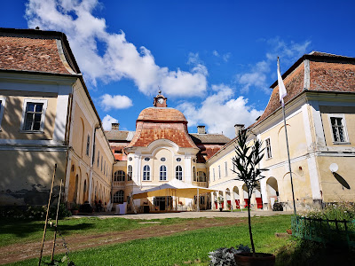 Castelul Teleki din Gornești — fotografia 3