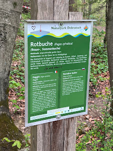 Maibachl Villach Warmbad — fotografia 4