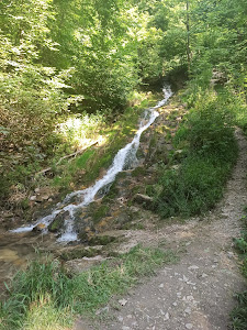 Gönninger Wasserfall — fotografia 5