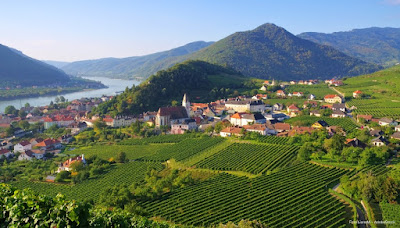 Wachau — fotografia 3