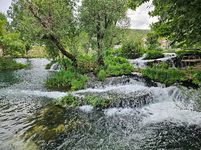 Čeveljuša — fotografia 5