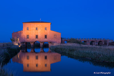 Riserva Naturale Diaccia Botrona - Maremma — fotografia 3