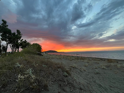 Meadow Camp — fotografia 5