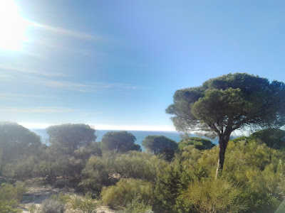 Barbate Pinar de la Brena — fotografia 3