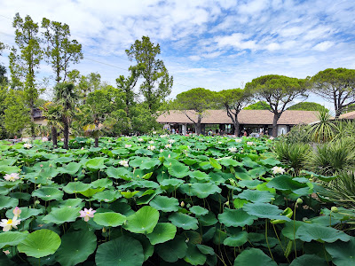 Parco Zoo Punta Verde — fotografia 5