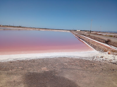 FAI - Saline Conti Vecchi — fotografia 4