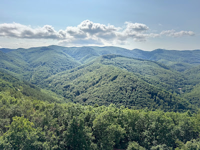 Millennium Lookout — fotografia 3