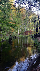 Groty Mirachowskie — fotografia 3