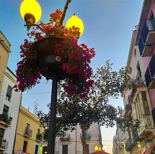 Plaça de les Cols — fotografia 4