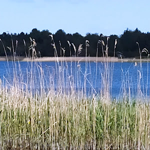 Ørslevkloster Lake
