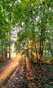 Carl-von-Weinberg-Park — fotografia 4