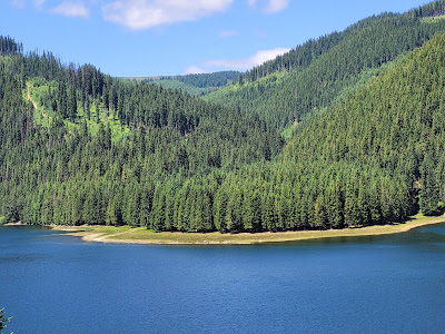 view vidra