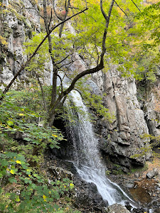 Boyana Waterfall