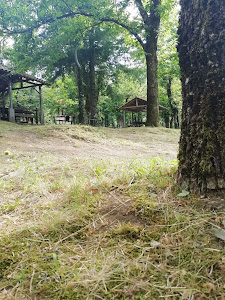 Parco Green Garden