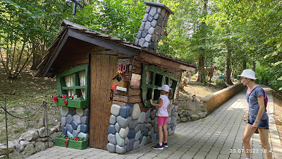 Fairytale forest — fotografia 5