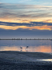 Las Salinas de San Pedro — fotografia 3
